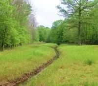 395 Acres with a Home in Leflore County at 1400 County Road 246 in Sidon MS images 2