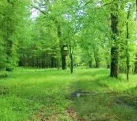 395 Acres with a Home in Leflore County at 1400 County Road 246 in Sidon MS images 3
