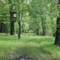 395 Acres with a Home in Leflore County at 1400 County Road 246 in Sidon MS images 5
