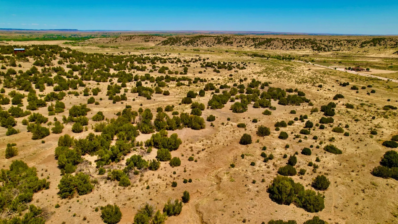 Kickin Kunzite Road Acreage Hunting Land for Sale HuntingLocator