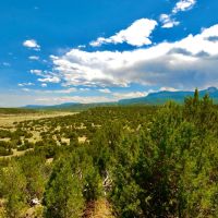 Kickin Kunzite Road Acreage images 3