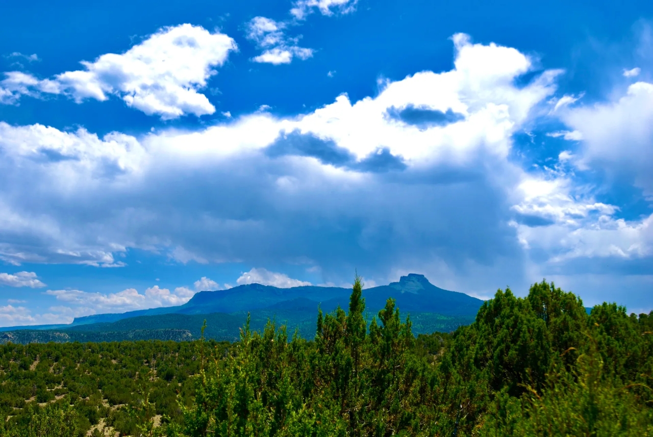 Kickin Kunzite Road Acreage Hunting Land for Sale HuntingLocator