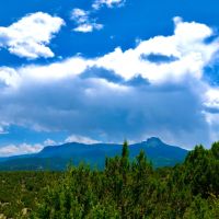 Kickin Kunzite Road Acreage images 4