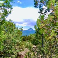 Kickin Kunzite Road Acreage images 5