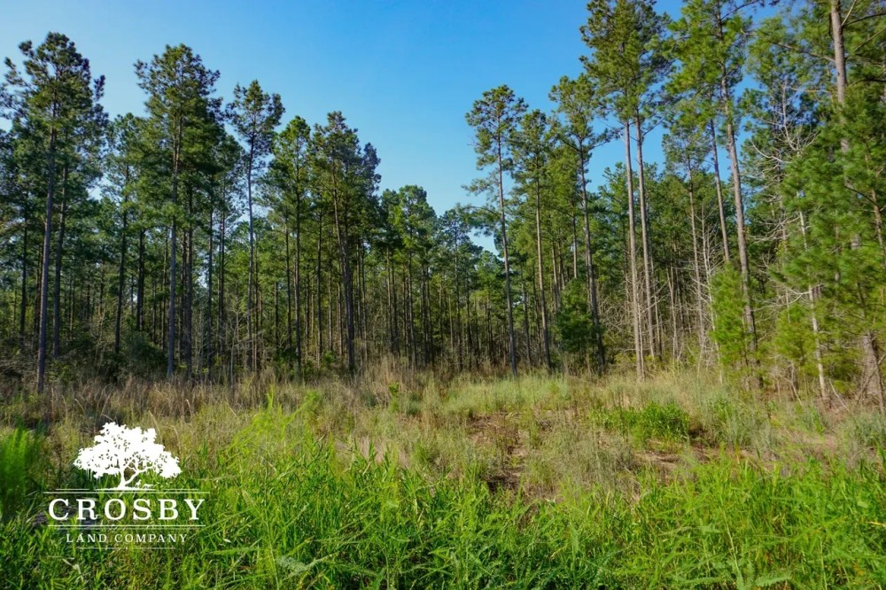 Jennings Tract featured image