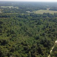 MS - Forrest 29 Acres - images 3