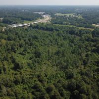 MS - Forrest 29 Acres - images 4