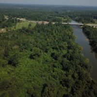 MS - Forrest 29 Acres - images 5