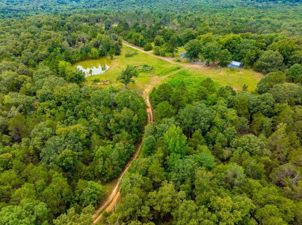 97 - Wooded Acres Hunters Paradise Rolling Hills Hunting Cabin Electric Water Pond Cave City Arkansas featured image