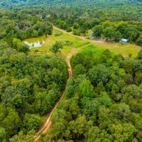 97 - Wooded Acres Hunters Paradise Rolling Hills Hunting Cabin Electric Water Pond Cave City Arkansas