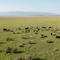 Block Ranch images 4