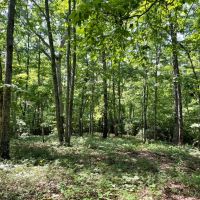 - 6.85 Acres on Woodall Mountain Road in Pickens SC images 3