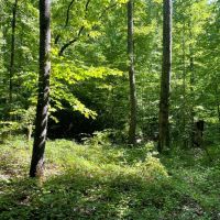 - 6.85 Acres on Woodall Mountain Road in Pickens SC images 4