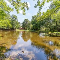 59.5 Acre Country Estate in Dresden TN for Sale images 2