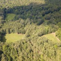 59.5 Acre Country Estate in Dresden TN for Sale images 3