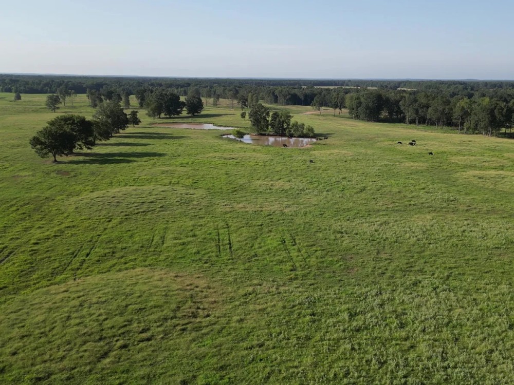 1075 Acres Welch s 3 Creeks Cattle Ranch featured image
