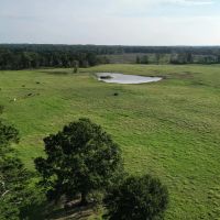 1075 Acres Welch s 3 Creeks Cattle Ranch images 2