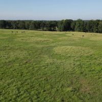 1075 Acres Welch s 3 Creeks Cattle Ranch images 3