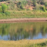 Texas Land for sale near San Angelo Robert Lee and Midland