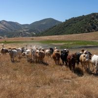 Powderhorn Ranch images 3