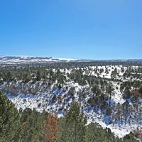Ponderosa Lot 1