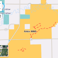 Deer hunting land in Aitkin WMA South Unit-76 acres of Aitkin, MN