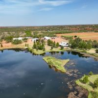Flying H Ranch