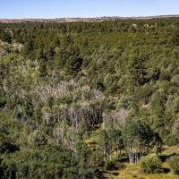 The Bluffs Ranch Lot 1 images 4