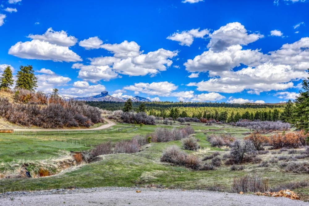 1149 Cattle Trail Place Pagosa Springs CO featured image