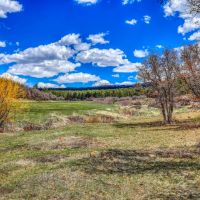 1149 Cattle Trail Place Pagosa Springs CO images 4