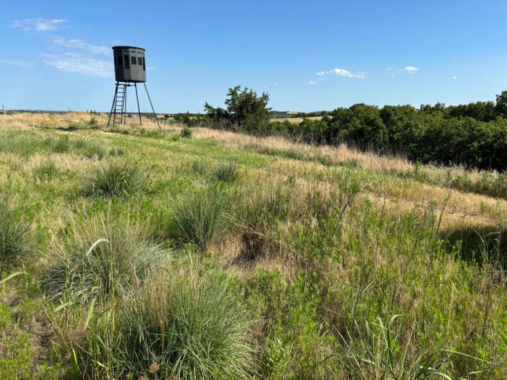 Wellfleet CRP Quarter featured image