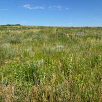 Wellfleet CRP Quarter images 2