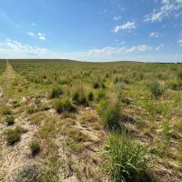 Wellfleet CRP Quarter images 3