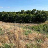 Wellfleet CRP Quarter images 4