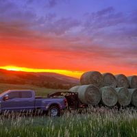 Jackson Creek Ranch images 2