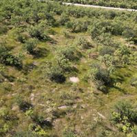 New Listing 16 - Acres Callahan County images 2