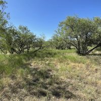 New Listing 16 - Acres Callahan County images 4