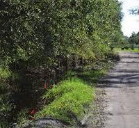 Almora WMA-164 acres - Deer & Turkey hunting land in Otter Tail, MN