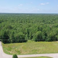 24.69 - Acres Waterfront Property Walker County TX images 3