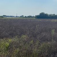 MO - New Madrid 80 acres -