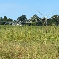 MO - New Madrid 80 acres - images 3
