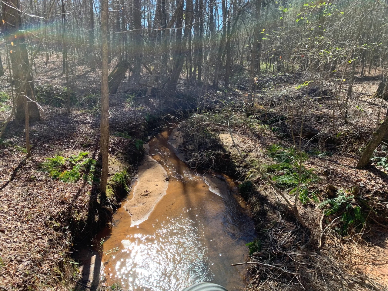 250 acres in Coweta County Hunting Land for Sale HuntingLocator