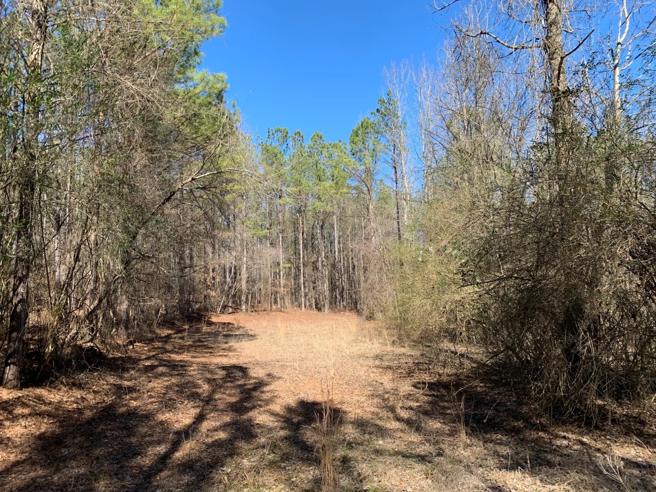 250 acres in Coweta County Hunting Land for Sale HuntingLocator