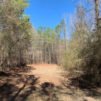 250 - acres in Coweta County images 5