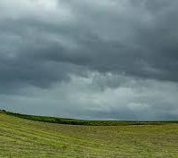 Altnow Marsh WMA-146 acres - Doves hunting land in Sibley, MN