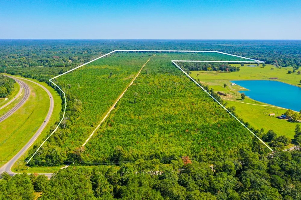 323 Acres FM 1010 featured image