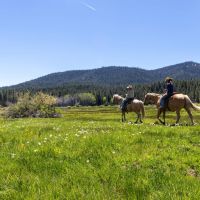 Meadow Ranch images 3