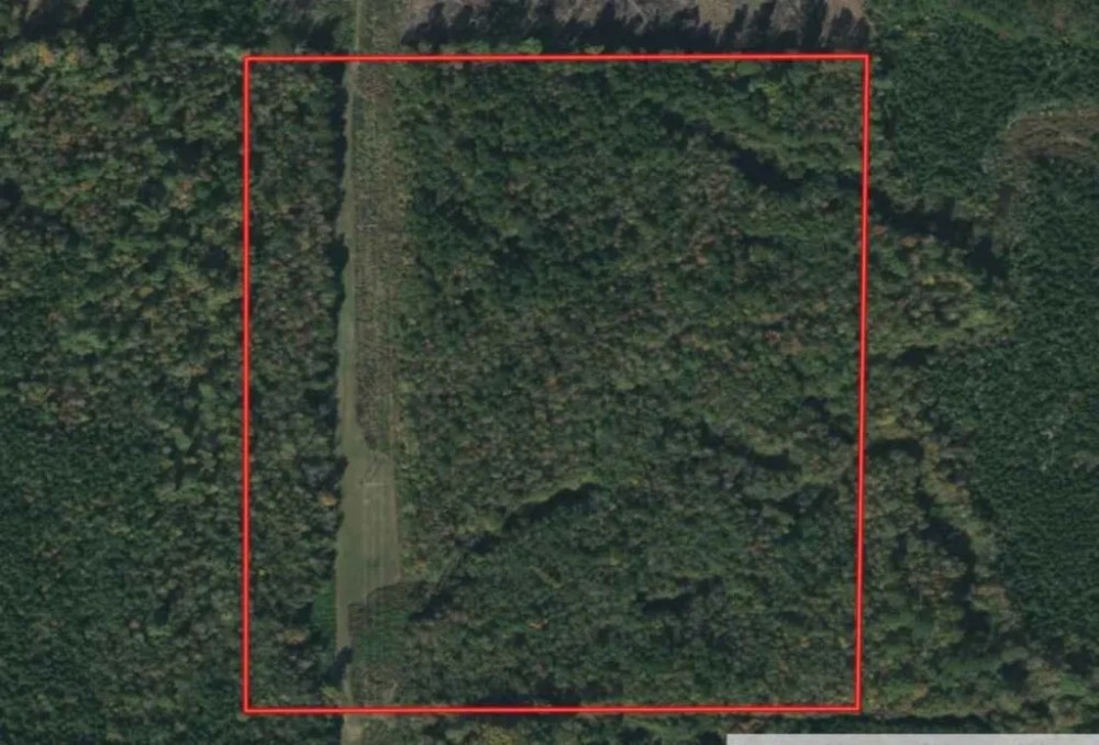 MS - Winston 40 acres - featured image