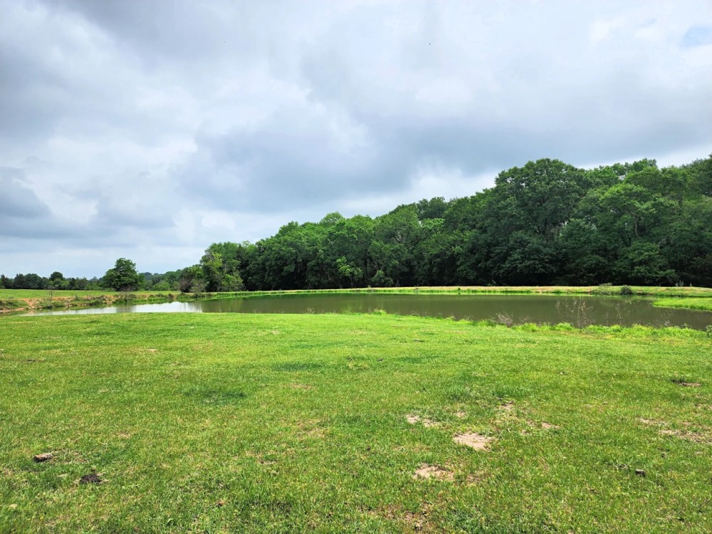4125 Old Navasota Rd Brenham TX 77833 featured image