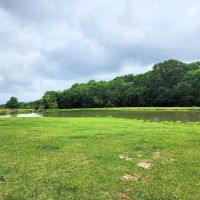 4125 Old Navasota Rd Brenham TX 77833